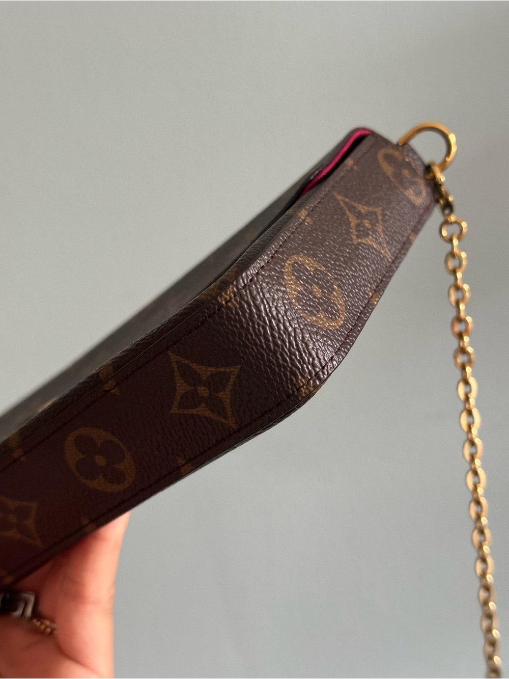 Louis Vuitton Monogram Pochette Félicie One Insert & dust bag - Picture 8 of 17